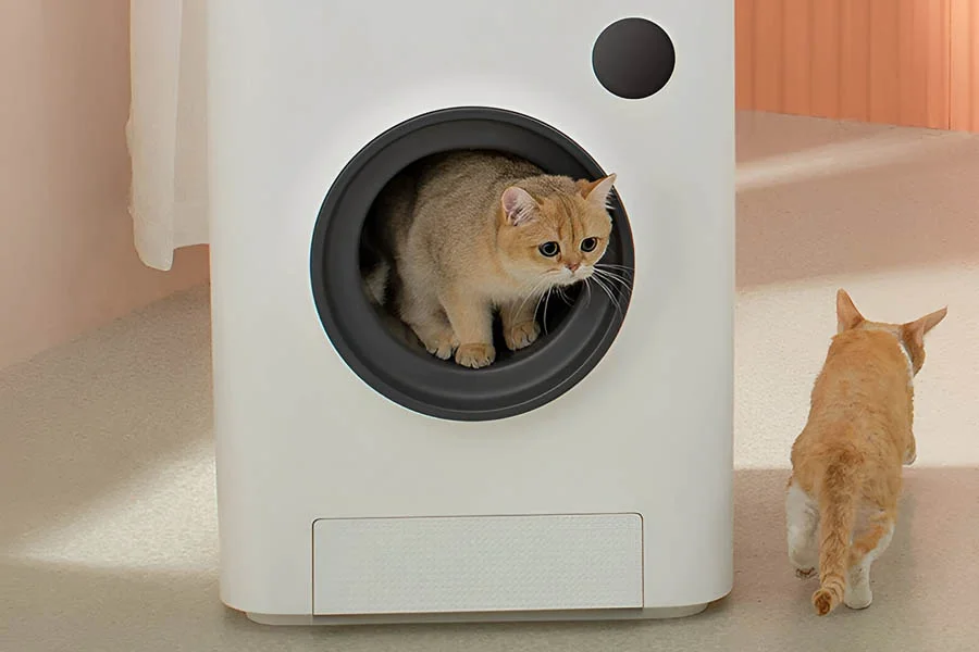 odorless litter box